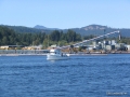 518-NewRosa.JPG