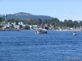 519-Alaskan.JPG