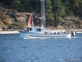 531-SmallerOne.JPG