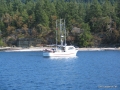 88-Polaris.JPG