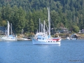 91-NewRosa.JPG