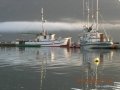 2006-CowBay-139.jpg