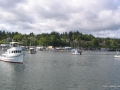 2006-CowBay-141.JPG