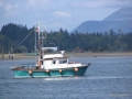 2006-CowBay-142.JPG