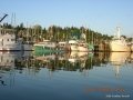 2006-CowBay-2.jpg