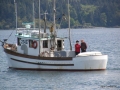 2006-CowBay-413.JPG