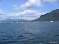 2006-CowBay-415.JPG