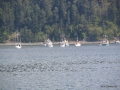 2006-CowBay-416.JPG
