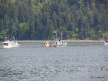 2006-CowBay-417.JPG