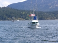 2006-CowBay-418.JPG