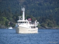 2006-CowBay-419.JPG