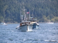 2006-CowBay-420.JPG