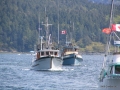 2006-CowBay-421.JPG