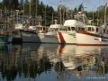 2006-CowBay-7.jpg