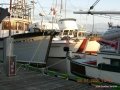 2006-CowBay-9.jpg