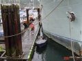 2007 Cow Bay -Moving the Dominion-pics by Bill R  (1).JPG