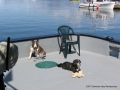 2007CowBay... (10).JPG