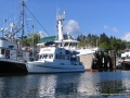 2007CowBay... (12).JPG