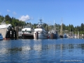 2007CowBay... (13).JPG