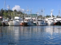 2007CowBay... (17).JPG