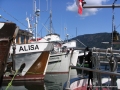 2007CowBay... (2).JPG