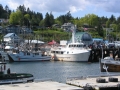 2007CowBay... (22).JPG