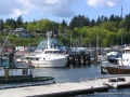 2007CowBay... (23).JPG