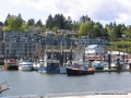 2007CowBay... (24).JPG