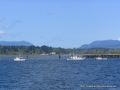 2007CowBay... (25).JPG