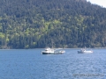 2007CowBay... (28).JPG