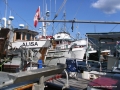 2007CowBay... (3).JPG