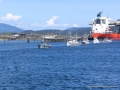 2007CowBay... (30).JPG