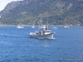 2007CowBay... (31).JPG
