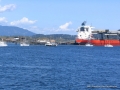 2007CowBay... (33).JPG