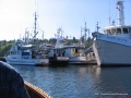 2007CowBay... (7).JPG