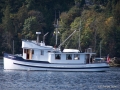 FlorenceII