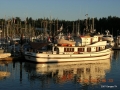 Midnight Sun