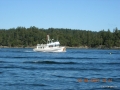 North Pacific