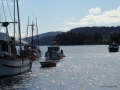 Saludos,SeaMaid,EvvyDale