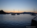 DSC00744.JPG