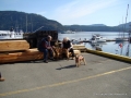 DSC00754.JPG