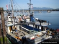 DSC00756.JPG