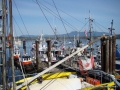DSC00757.JPG