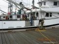 2008 09 21 0712.jpg