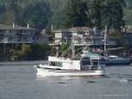 Madrona.JPG