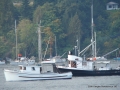PacificSunsetplus.JPG
