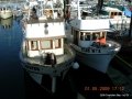 Cowichan Bay 09 001