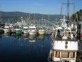 Cowichan Bay 09 002