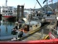 Cowichan Bay 09 005
