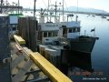 Cowichan Bay 09 008
